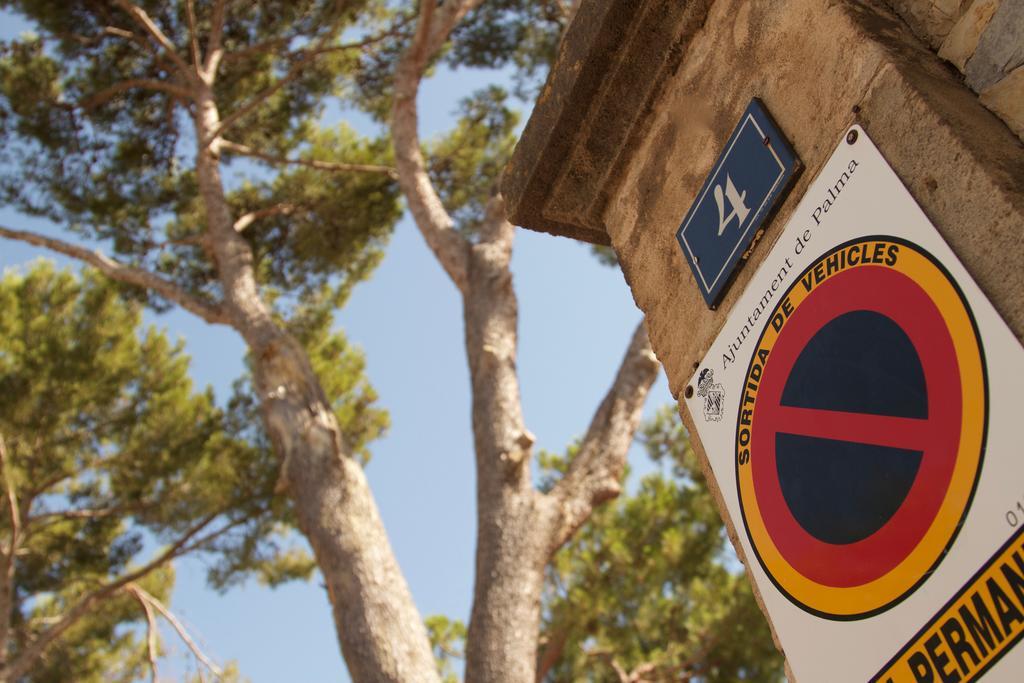 Els Pins * Palma